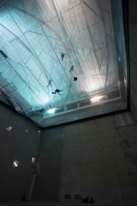 Tomás Saraceno
