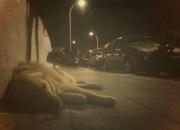 Fotoğraf; femmefauxx 2013 / mindonart