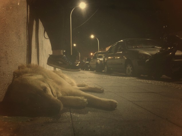 Fotoğraf; femmefauxx 2013 / mindonart