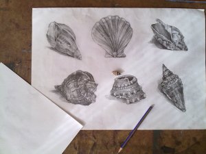 36662_403369938196_648548196_4373492_118272_n