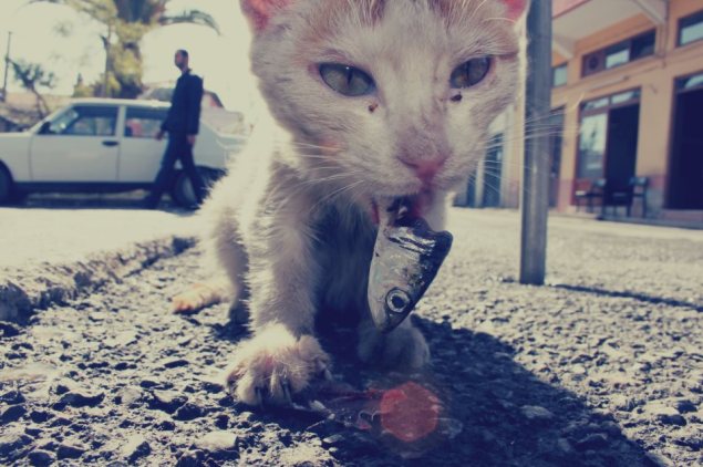 Fotoğraf / Buse Uğraş