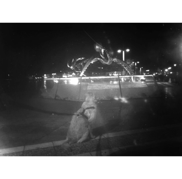 Fotoğraf; femmefauxx 2013 / mindonart