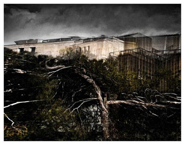 Fotoğraf / Orhan Alptürk