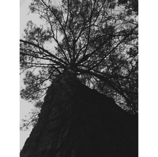 Fotoğraf; femmefauxx 2013 / mindonart