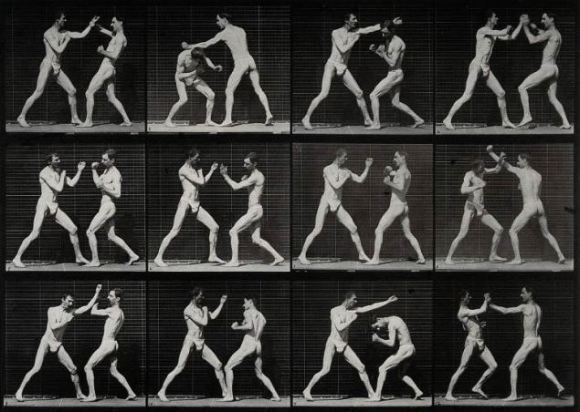 Two-men-boxing.-Photogravure-after-Eadweard-Muybridge-1887-CC-BY-NC