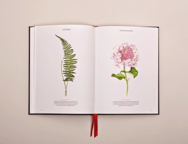 Rathbone Square Broşürü için hazırladığı illüstrasyonlardan.