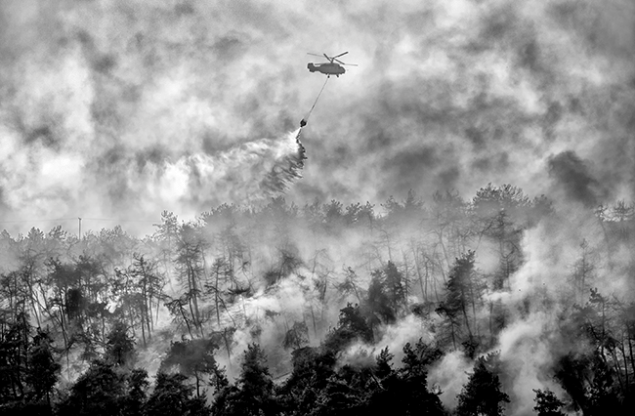 Ahmet Turan Kural / Doğa Kategorisi Birincilik Ödülü