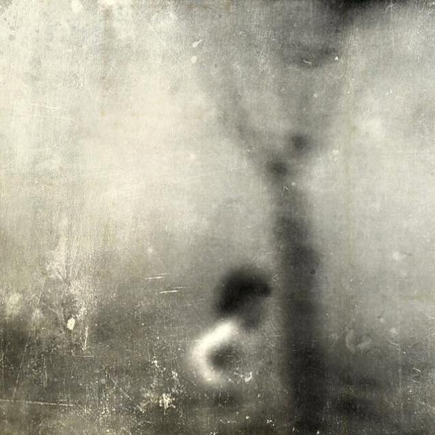 12019955_874855552597514_8548829753061538099_n